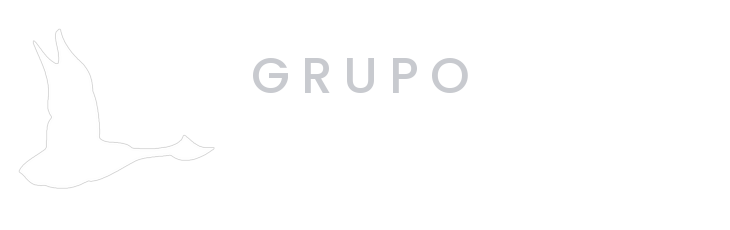 Grupo Loyalty